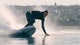 Carving turn on a LIND electric surfboard